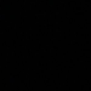 Meet your Posher, Abigail